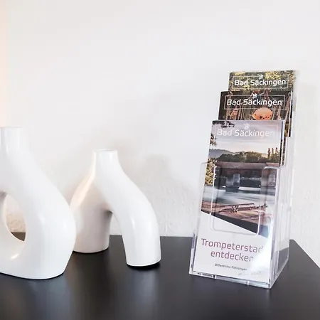 Neu Deluxe Muensterblick, Maisonette, Kingsize Bett, Kueche, Netflix, Aussicht, E-kamin * Bad Sackingen