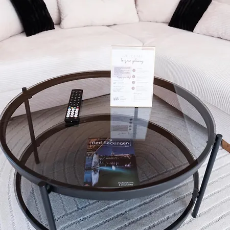 דירה Neu Deluxe Muensterblick, Maisonette, Kingsize Bett, Kueche, Netflix, Aussicht, E-kamin באד זקינגן